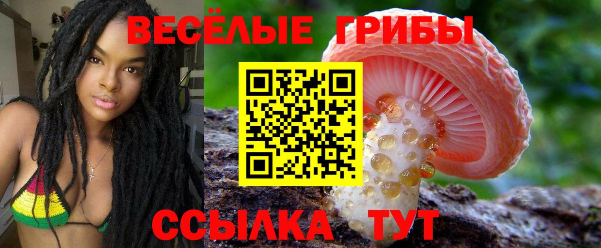 Псилоцибиновые грибы Magic Shrooms  Галлюциногенные грибы мицелий  Вход с VPN  Чебаркуль 